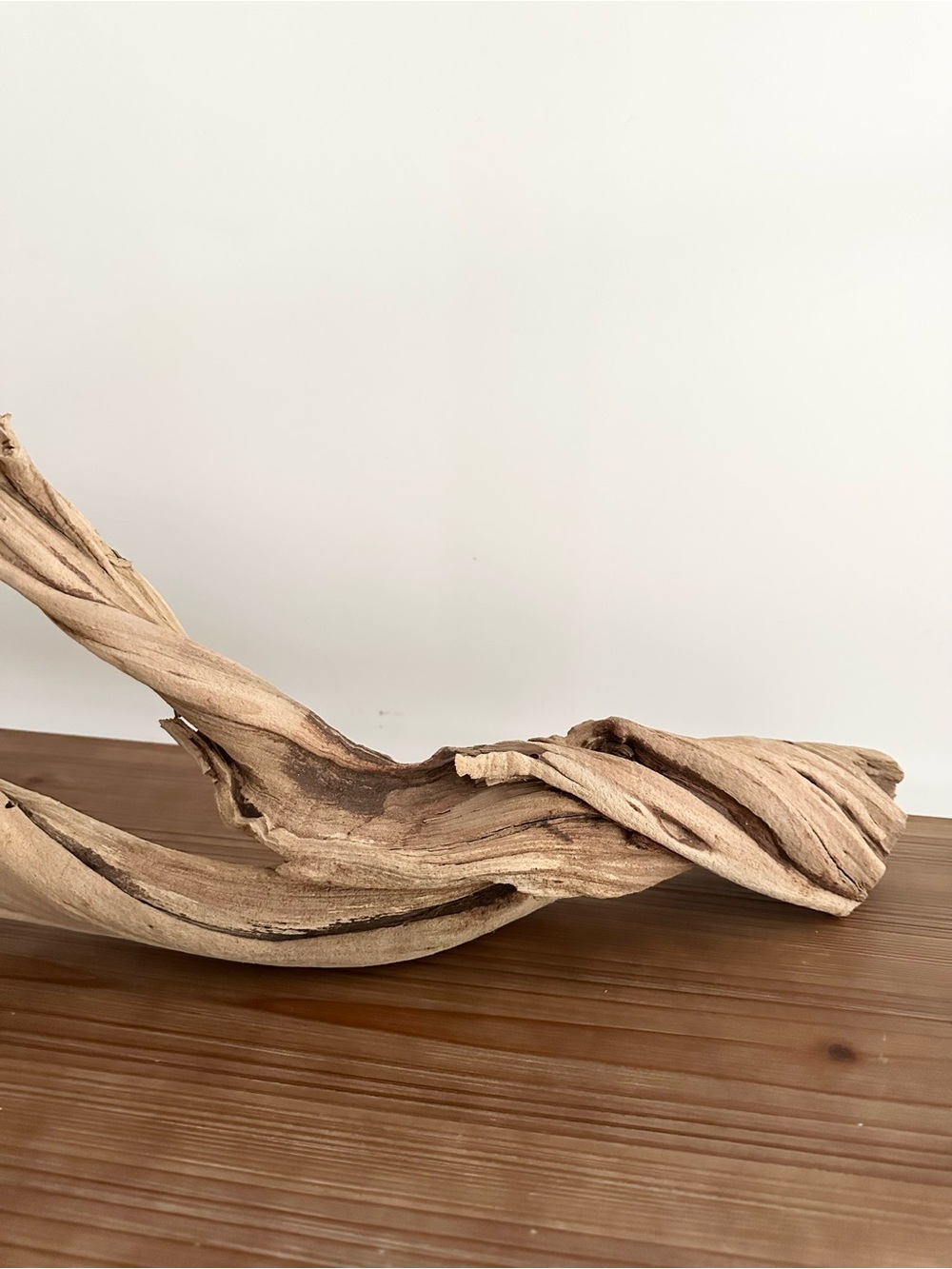 Large Natural Driftwood Branch - Coastal Beach Decor - Picture 7 of 17